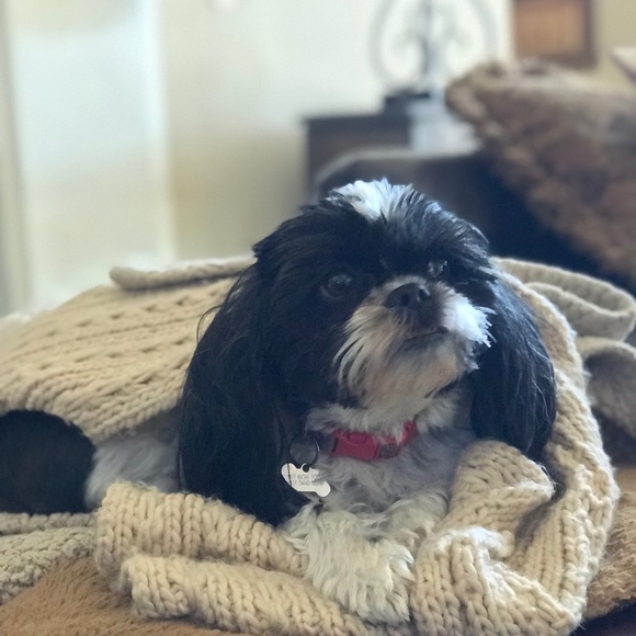 Welcome!! - Picture 3 of 4